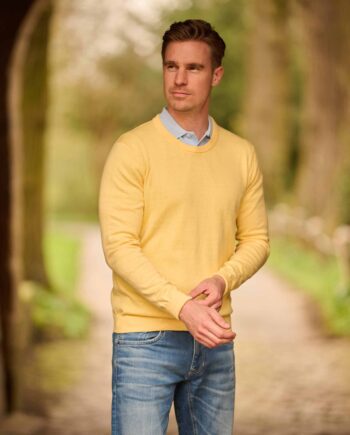 Till - Round neck men's sweater in yellow| Wellington of Bilmore